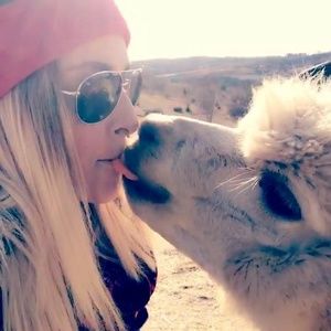 Meet your Posher, Tory